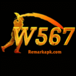 W567 Game