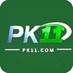 PK11 Game