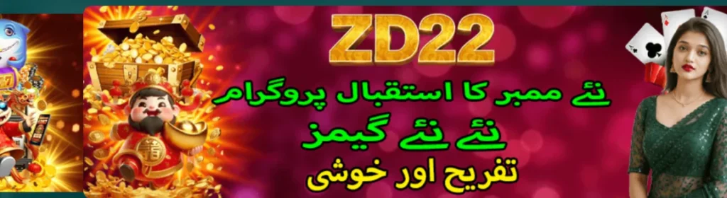 zd22 Game
